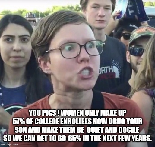 Triggered feminist | YOU PIGS ! WOMEN ONLY MAKE UP 57% OF COLLEGE ENROLLEES NOW DRUG YOUR SON AND MAKE THEM BE  QUIET AND DOCILE  SO WE CAN GET TO 60-65% IN THE  | image tagged in triggered feminist | made w/ Imgflip meme maker