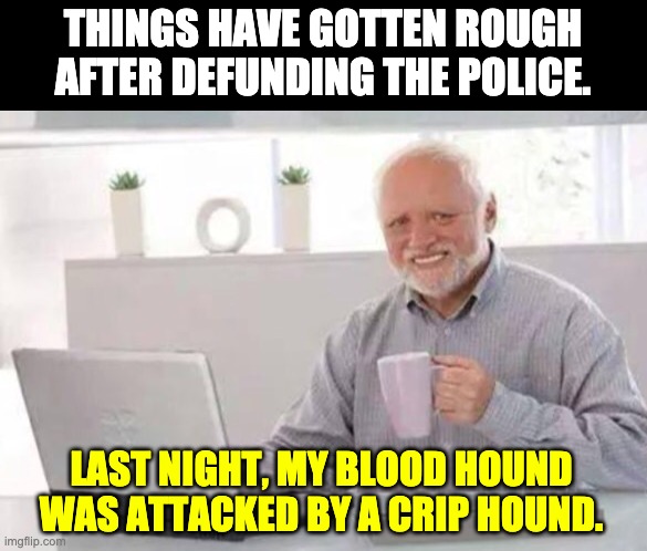 Rough neighborhood | THINGS HAVE GOTTEN ROUGH AFTER DEFUNDING THE POLICE. LAST NIGHT, MY BLOOD HOUND WAS ATTACKED BY A CRIP HOUND. | image tagged in harold | made w/ Imgflip meme maker