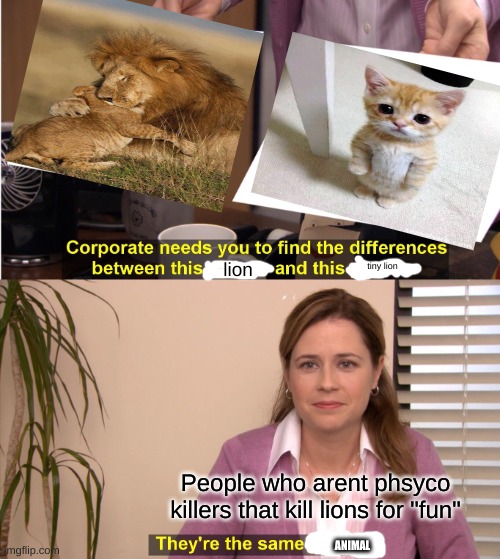 They're The Same Picture Meme | tiny lion; lion; People who arent phsyco killers that kill lions for "fun"; ANIMAL | image tagged in memes,they're the same picture | made w/ Imgflip meme maker