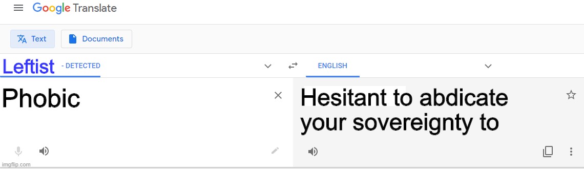 Translate - Detect language | Leftist Phobic Hesitant to abdicate your sovereignty to | image tagged in translate - detect language | made w/ Imgflip meme maker