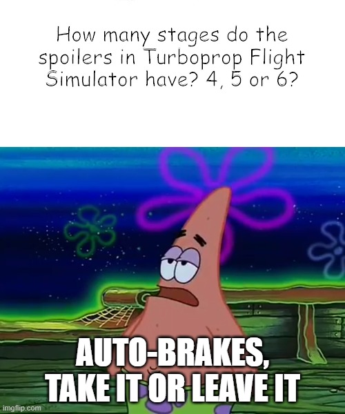 TFS is the only lol | How many stages do the spoilers in Turboprop Flight Simulator have? 4, 5 or 6? AUTO-BRAKES, TAKE IT OR LEAVE IT | image tagged in patrick star take it or leave,aviation,simulation | made w/ Imgflip meme maker