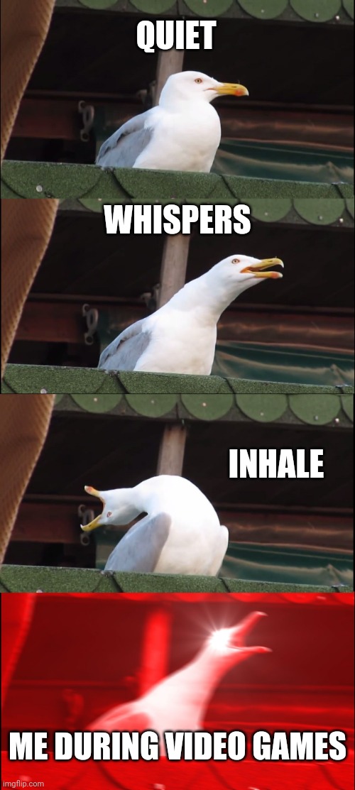 Inhaling Seagull | QUIET; WHISPERS; INHALE; ME DURING VIDEO GAMES | image tagged in memes,inhaling seagull | made w/ Imgflip meme maker