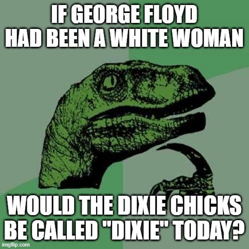Philosoraptor Meme | IF GEORGE FLOYD HAD BEEN A WHITE WOMAN WOULD THE DIXIE CHICKS BE CALLED "DIXIE" TODAY? | image tagged in memes,philosoraptor | made w/ Imgflip meme maker