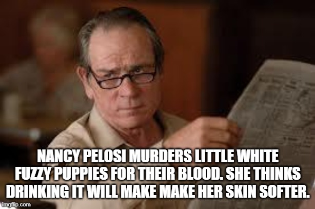 no country for old men tommy lee jones | NANCY PELOSI MURDERS LITTLE WHITE FUZZY PUPPIES FOR THEIR BLOOD. SHE THINKS DRINKING IT WILL MAKE MAKE HER SKIN SOFTER. | image tagged in no country for old men tommy lee jones | made w/ Imgflip meme maker