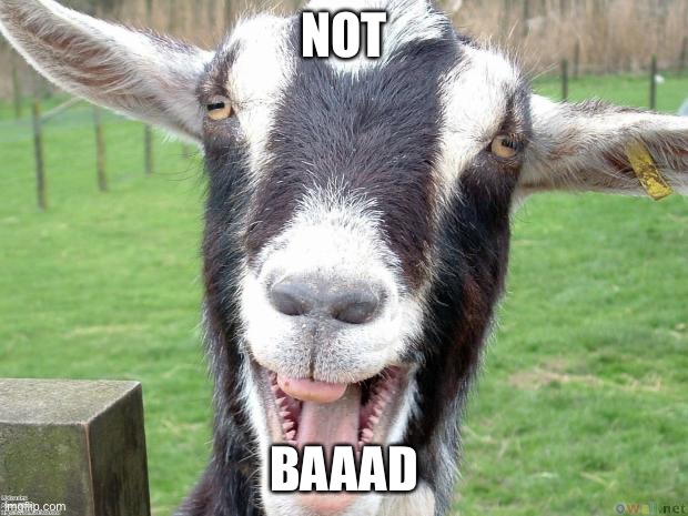 Funny Goat | NOT BAAAD | image tagged in funny goat | made w/ Imgflip meme maker