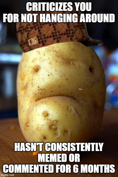 sad potato | CRITICIZES YOU FOR NOT HANGING AROUND HASN'T CONSISTENTLY MEMED OR COMMENTED FOR 6 MONTHS | image tagged in sad potato | made w/ Imgflip meme maker