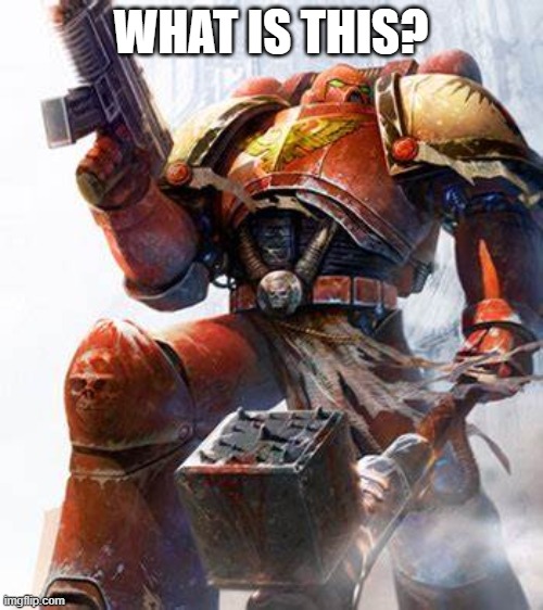 Space Marine | WHAT IS THIS? | image tagged in space marine | made w/ Imgflip meme maker