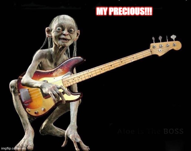 MY PRECIOUS!!! | image tagged in music | made w/ Imgflip meme maker