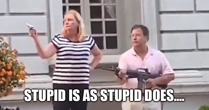 Stupid is as stupid does! | STUPID IS AS STUPID DOES.... | image tagged in couple | made w/ Imgflip meme maker