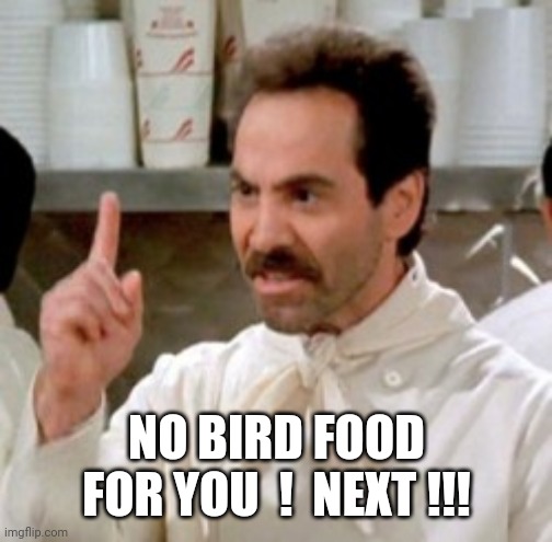 Soup Nazi | NO BIRD FOOD FOR YOU  !  NEXT !!! | image tagged in soup nazi | made w/ Imgflip meme maker