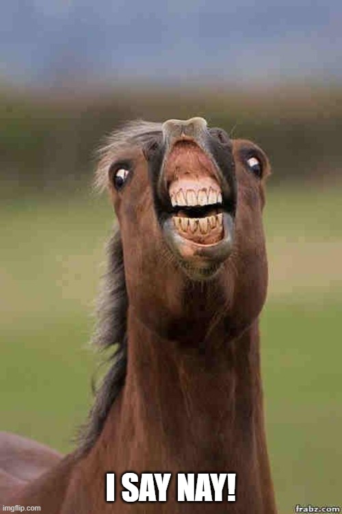 horse face | I SAY NAY! | image tagged in horse face | made w/ Imgflip meme maker