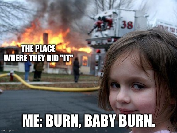 Disaster Girl Meme | THE PLACE WHERE THEY DID "IT" ME: BURN, BABY BURN. | image tagged in memes,disaster girl | made w/ Imgflip meme maker