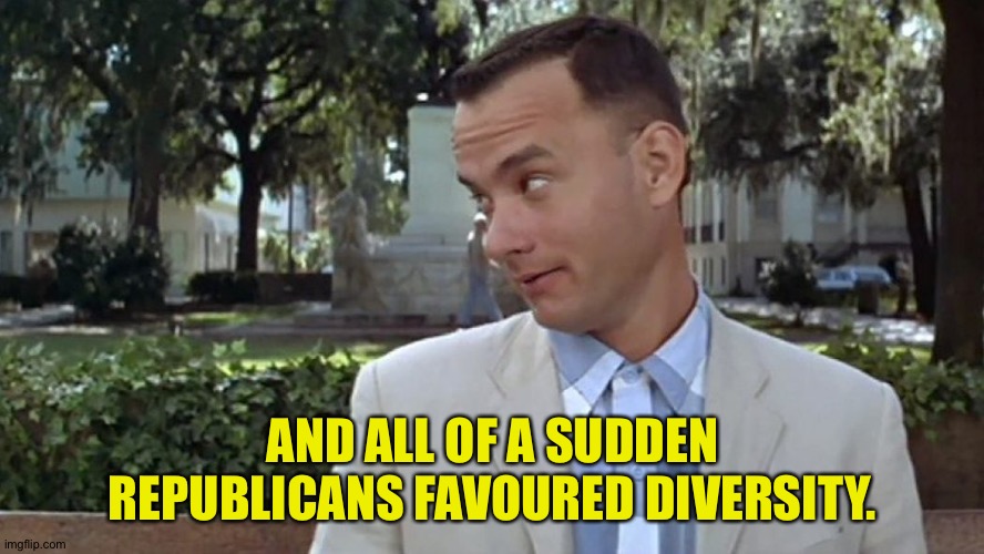Forrest Gump Face | AND ALL OF A SUDDEN REPUBLICANS FAVOURED DIVERSITY. | image tagged in forrest gump face | made w/ Imgflip meme maker