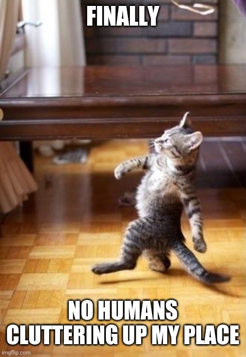 Cool Cat Stroll Meme | FINALLY; NO HUMANS CLUTTERING UP MY PLACE | image tagged in memes,cool cat stroll | made w/ Imgflip meme maker