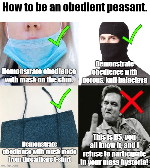 You people are all insane. | How to be an obedient peasant. Demonstrate obedience with porous, knit balaclava; Demonstrate obedience with mask on the chin. This is BS, you all know it, and I refuse to participate in your mass hysteria! Demonstrate obedience with mask made from threadbare t-shirt | image tagged in white genocide,zionism,mass hysteria,cultural marxism | made w/ Imgflip meme maker