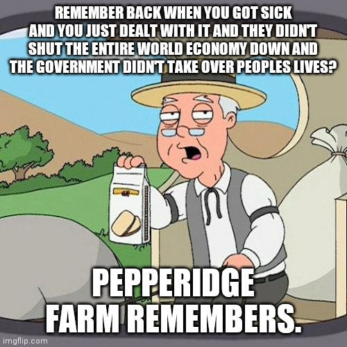Pepperidge Farm Remembers Meme | REMEMBER BACK WHEN YOU GOT SICK AND YOU JUST DEALT WITH IT AND THEY DIDN'T SHUT THE ENTIRE WORLD ECONOMY DOWN AND THE GOVERNMENT DIDN'T TAKE OVER PEOPLES LIVES? PEPPERIDGE FARM REMEMBERS. | image tagged in memes,pepperidge farm remembers | made w/ Imgflip meme maker