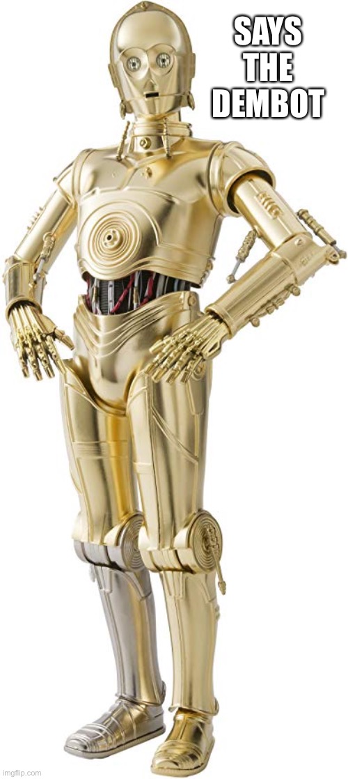C 3 P O | SAYS THE DEMBOT | image tagged in c 3 p o | made w/ Imgflip meme maker