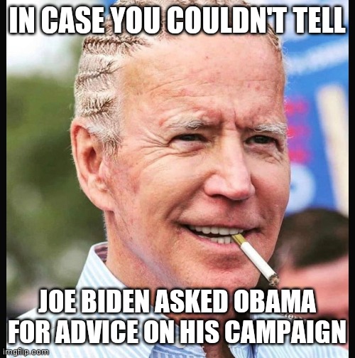 Joe Biden | IN CASE YOU COULDN'T TELL; JOE BIDEN ASKED OBAMA FOR ADVICE ON HIS CAMPAIGN | image tagged in joe biden | made w/ Imgflip meme maker