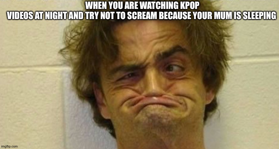 WHEN YOU ARE WATCHING KPOP VIDEOS AT NIGHT AND TRY NOT TO SCREAM BECAUSE YOUR MUM IS SLEEPING | image tagged in kpop fans be like | made w/ Imgflip meme maker