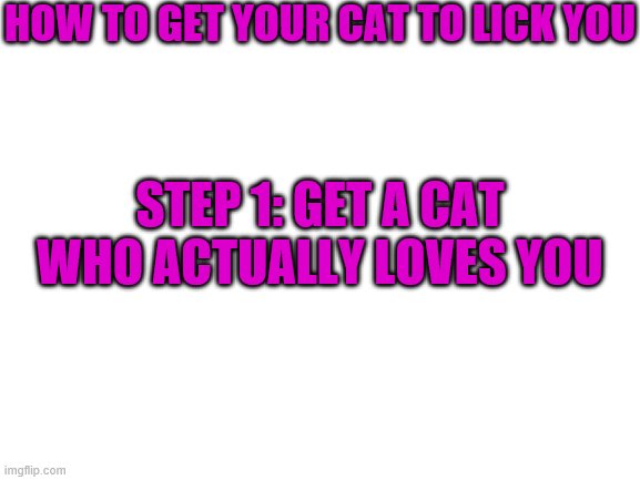 Blank White Template | HOW TO GET YOUR CAT TO LICK YOU; STEP 1: GET A CAT WHO ACTUALLY LOVES YOU | image tagged in blank white template | made w/ Imgflip meme maker