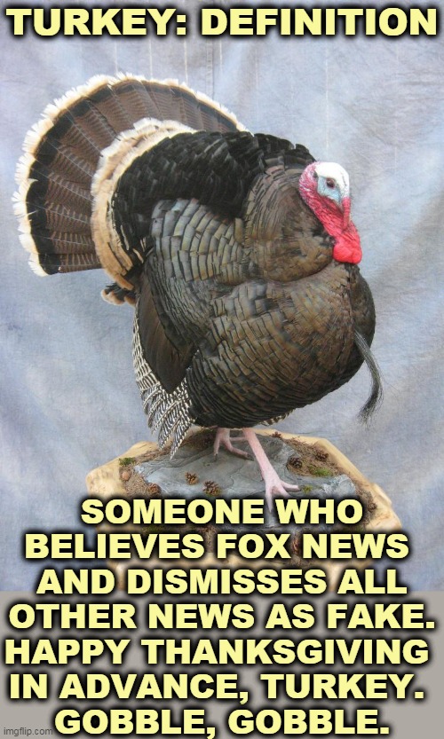 As the taxidermist said to the turkey, "Get stuffed." | TURKEY: DEFINITION; SOMEONE WHO BELIEVES FOX NEWS 
AND DISMISSES ALL OTHER NEWS AS FAKE.
HAPPY THANKSGIVING 
IN ADVANCE, TURKEY. 
GOBBLE, GOBBLE. | image tagged in turkey,fox news,cable tv,happy thanksgiving,stuffed animal | made w/ Imgflip meme maker