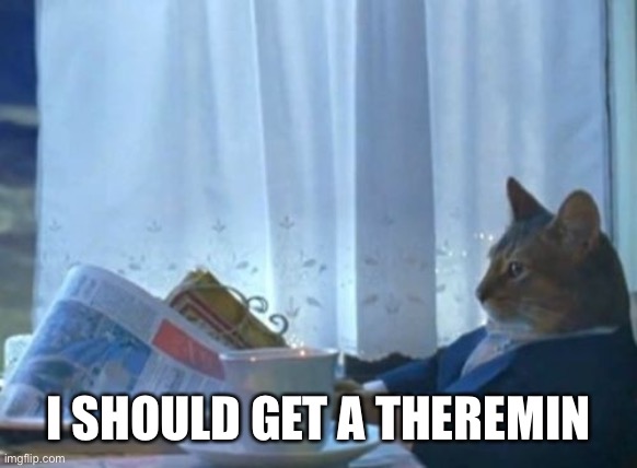 I Should Buy A Boat Cat Meme | I SHOULD GET A THEREMIN | image tagged in memes,i should buy a boat cat | made w/ Imgflip meme maker