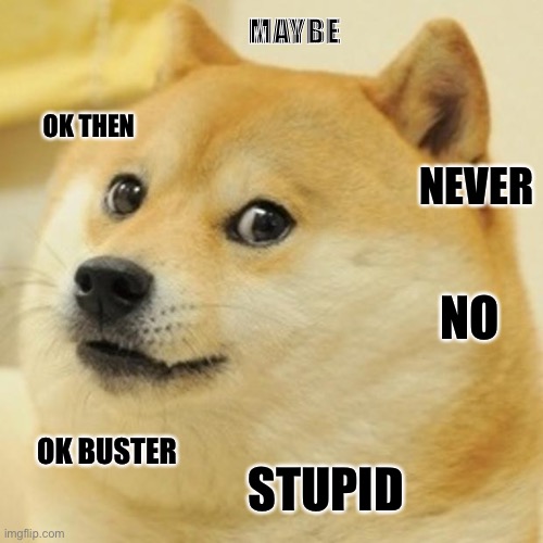Doge is savage | MAYBE; OK THEN; NEVER; NO; OK BUSTER; STUPID | image tagged in memes,doge | made w/ Imgflip meme maker