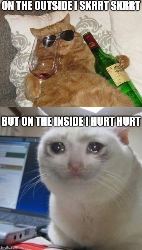 ON THE OUTSIDE I SKRRT SKRRT; BUT ON THE INSIDE I HURT HURT | image tagged in crying cat,drunk cool cat | made w/ Imgflip meme maker