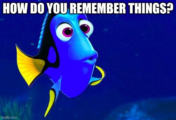 Like what links your memeories? Music, smells, weather, colors, etc | HOW DO YOU REMEMBER THINGS? | image tagged in bad memory fish | made w/ Imgflip meme maker