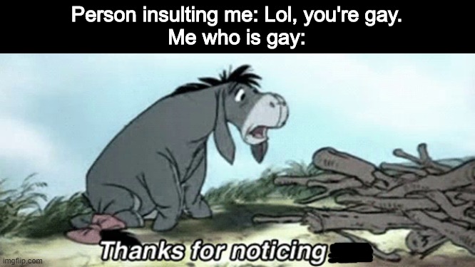I mean, they wouldn't be wrong. | Person insulting me: Lol, you're gay.
Me who is gay: | image tagged in gay,insults | made w/ Imgflip meme maker
