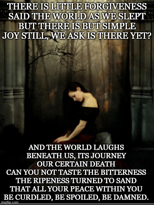 no title | THERE IS LITTLE FORGIVENESS
SAID THE WORLD AS WE SLEPT
BUT THERE IS BUT SIMPLE JOY STILL, WE ASK IS THERE YET? AND THE WORLD LAUGHS BENEATH US, ITS JOURNEY OUR CERTAIN DEATH
CAN YOU NOT TASTE THE BITTERNESS
THE RIPENESS TURNED TO SAND
THAT ALL YOUR PEACE WITHIN YOU
BE CURDLED, BE SPOILED, BE DAMNED. | image tagged in untitled | made w/ Imgflip meme maker