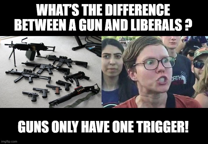 Such a Liberal Joke | WHAT’S THE DIFFERENCE BETWEEN A GUN AND LIBERALS ? GUNS ONLY HAVE ONE TRIGGER! | image tagged in guns,triggered liberal | made w/ Imgflip meme maker
