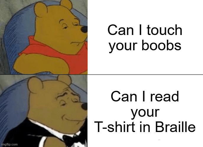 Tuxedo Winnie The Pooh Meme | Can I touch your boobs; Can I read your T-shirt in Braille | image tagged in memes,tuxedo winnie the pooh | made w/ Imgflip meme maker