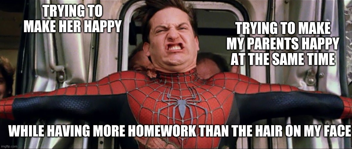title | TRYING TO MAKE MY PARENTS HAPPY AT THE SAME TIME; TRYING TO MAKE HER HAPPY; WHILE HAVING MORE HOMEWORK THAN THE HAIR ON MY FACE | image tagged in spiderman train | made w/ Imgflip meme maker
