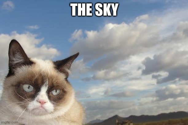 Grumpy Cat Sky Meme | THE SKY | image tagged in memes,grumpy cat sky,grumpy cat | made w/ Imgflip meme maker