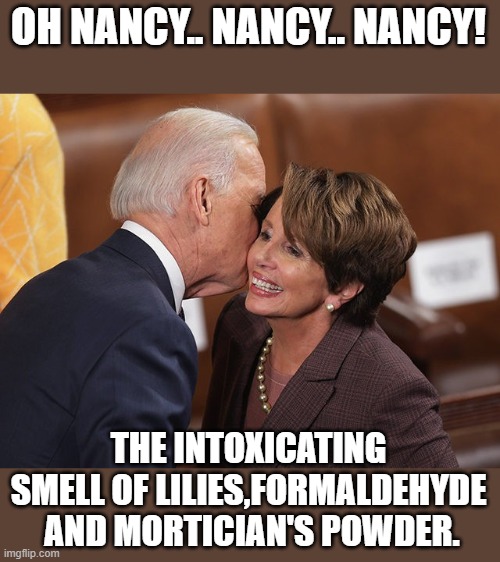 OH NANCY.. NANCY.. NANCY! THE INTOXICATING SMELL OF LILIES,FORMALDEHYDE  AND MORTICIAN'S POWDER. | made w/ Imgflip meme maker