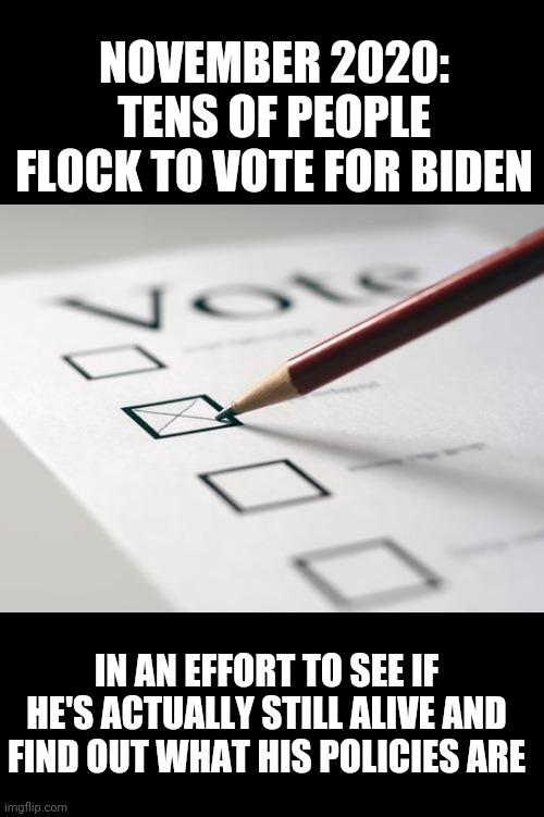 Voting Ballot | NOVEMBER 2020: TENS OF PEOPLE FLOCK TO VOTE FOR BIDEN; IN AN EFFORT TO SEE IF HE'S ACTUALLY STILL ALIVE AND FIND OUT WHAT HIS POLICIES ARE | image tagged in voting ballot | made w/ Imgflip meme maker