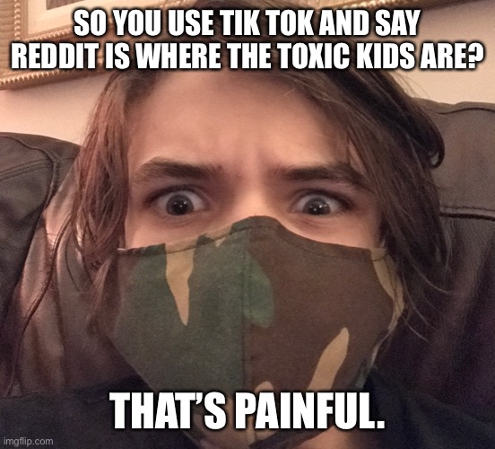 Seriously? There are people who do that? | SO YOU USE TIK TOK AND SAY REDDIT IS WHERE THE TOXIC KIDS ARE? THAT’S PAINFUL. | image tagged in so you x thats painful | made w/ Imgflip meme maker