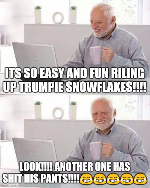 Hide the Pain Harold | ITS SO EASY AND FUN RILING UP TRUMPIE SNOWFLAKES!!!! LOOK!!!! ANOTHER ONE HAS SHIT HIS PANTS!!!!😂😂😂😂😂 | image tagged in memes,hide the pain harold | made w/ Imgflip meme maker