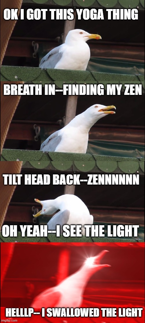 Inhaling Seagull Meme | OK I GOT THIS YOGA THING; BREATH IN--FINDING MY ZEN; TILT HEAD BACK--ZENNNNNN; OH YEAH--I SEE THE LIGHT; HELLLP-- I SWALLOWED THE LIGHT | image tagged in memes,inhaling seagull | made w/ Imgflip meme maker