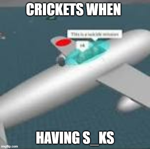 This is a suicide mission ok | CRICKETS WHEN; HAVING S_KS | image tagged in this is a suicide mission ok | made w/ Imgflip meme maker