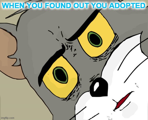 Unsettled Tom Meme | WHEN YOU FOUND OUT YOU ADOPTED | image tagged in memes,unsettled tom | made w/ Imgflip meme maker
