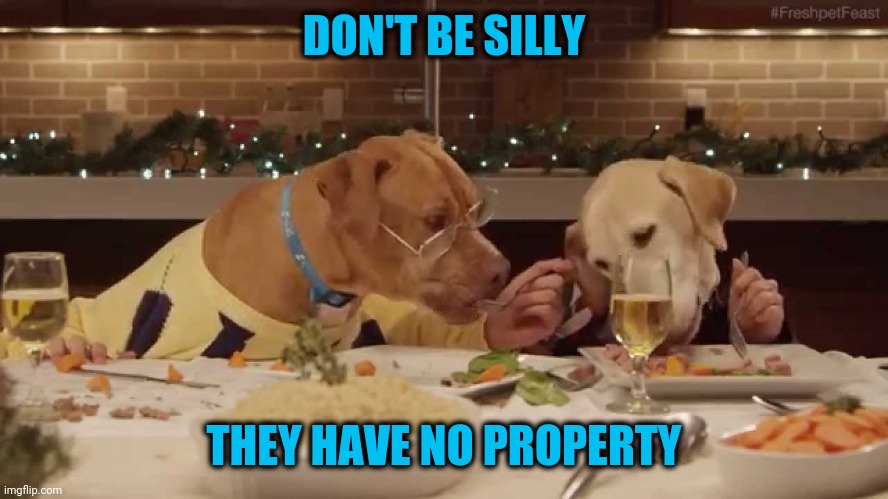 dog dinner | DON'T BE SILLY THEY HAVE NO PROPERTY | image tagged in dog dinner | made w/ Imgflip meme maker