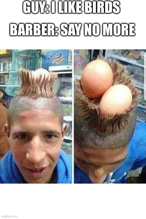 It’s a hairnest | GUY: I LIKE BIRDS; BARBER: SAY NO MORE | image tagged in blank white template | made w/ Imgflip meme maker