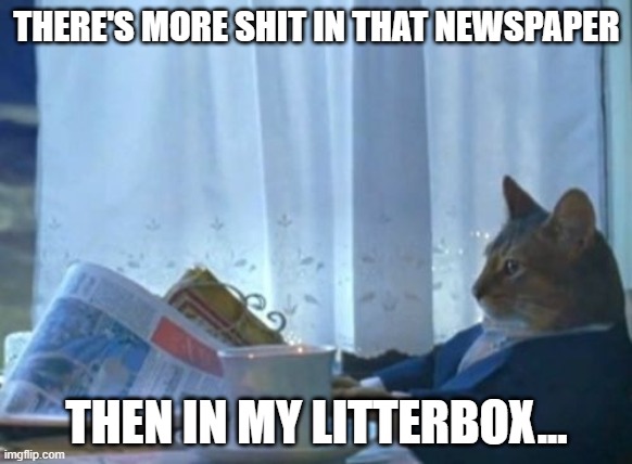 It's true!!! | THERE'S MORE SHIT IN THAT NEWSPAPER; THEN IN MY LITTERBOX... | image tagged in memes,i should buy a boat cat,funny | made w/ Imgflip meme maker