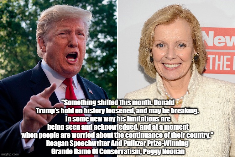  "Something shifted this month. Donald Trump’s hold on history loosened, and may be breaking. 
In some new way his limitations are being seen and acknowledged, and at a moment when people are worried about the continuance of their country." 
Reagan Speechwriter And Pulitzer Prize-Winning 
Grande Dame Of Conservatism, Peggy Noonan | made w/ Imgflip meme maker