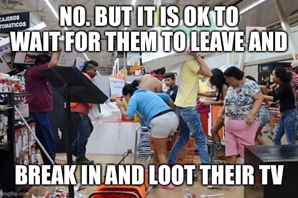 Looters | NO. BUT IT IS OK TO WAIT FOR THEM TO LEAVE AND BREAK IN AND LOOT THEIR TV | image tagged in looters | made w/ Imgflip meme maker