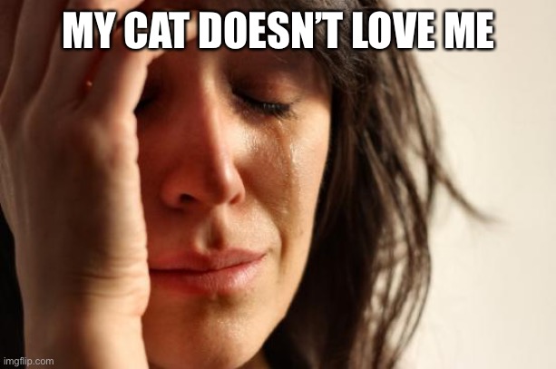 First World Problems Meme | MY CAT DOESN’T LOVE ME | image tagged in memes,first world problems | made w/ Imgflip meme maker