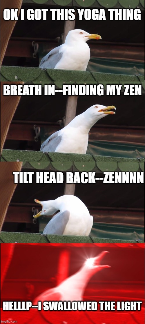 yoga is not for seagulls | OK I GOT THIS YOGA THING; BREATH IN--FINDING MY ZEN; TILT HEAD BACK--ZENNNN; HELLLP--I SWALLOWED THE LIGHT | image tagged in memes,inhaling seagull | made w/ Imgflip meme maker