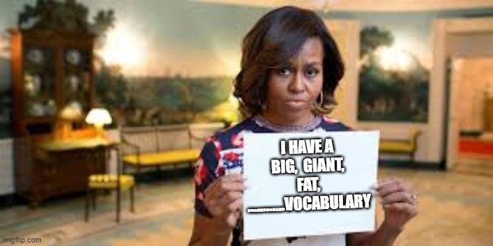 My "FUN" meme is safe! | I HAVE A BIG,  GIANT, FAT, ............VOCABULARY | image tagged in michelle obama | made w/ Imgflip meme maker